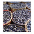 Acai Powder, Extract, Concentrate, Juice Powder, Fruit Powder, Freeze Dried, Organic, Capsules, Tablets